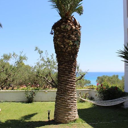 Panorama Studios & Apartments Amoudi Exterior foto